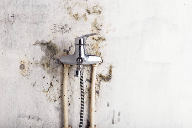 Best Residential Mold Removal  in Rio Vista, TX