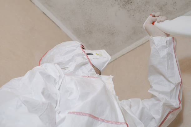Best Best Mold Removal Companies  in Rio Vista, TX